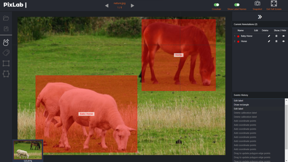 PixLab Annotate in action using the built-in Annotation Tools. Online Image Segmentation & Annotation Tool
