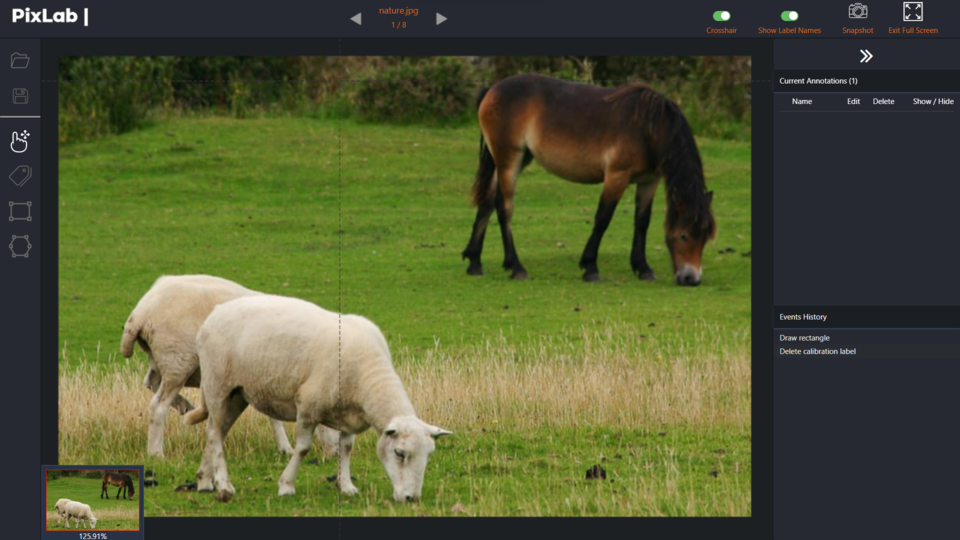 PixLab Annotate in Action... Online Image Segmentation & Annotation Tool