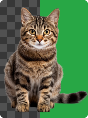 Remove Background