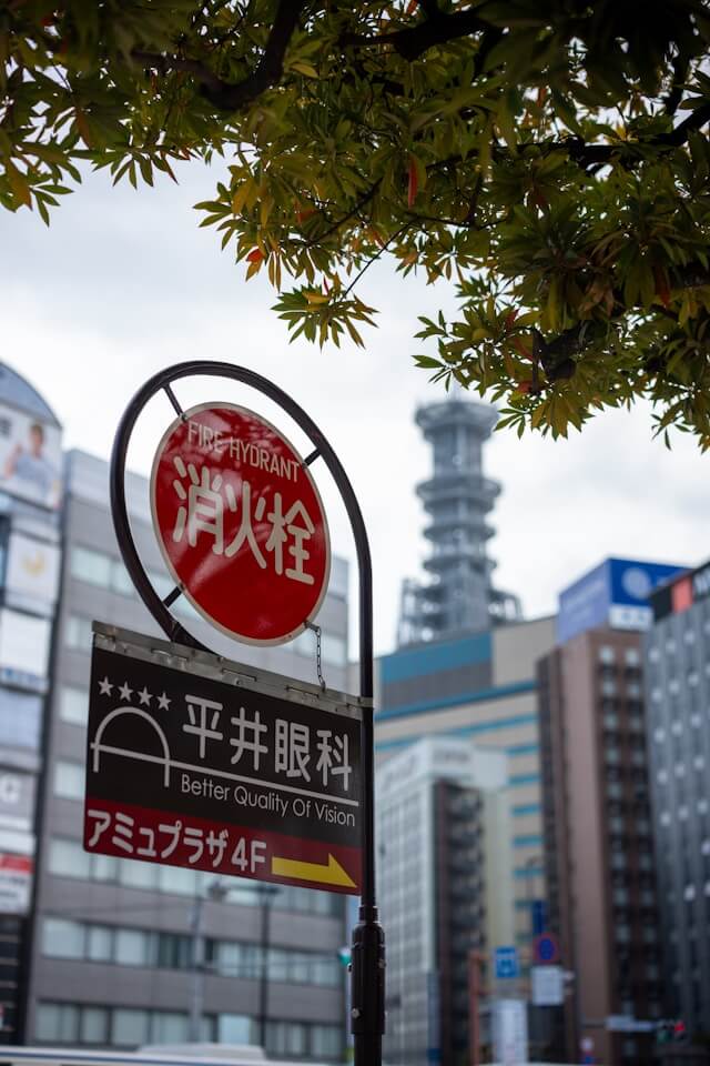 DocScan reading and translating text from street signs and restaurant menus