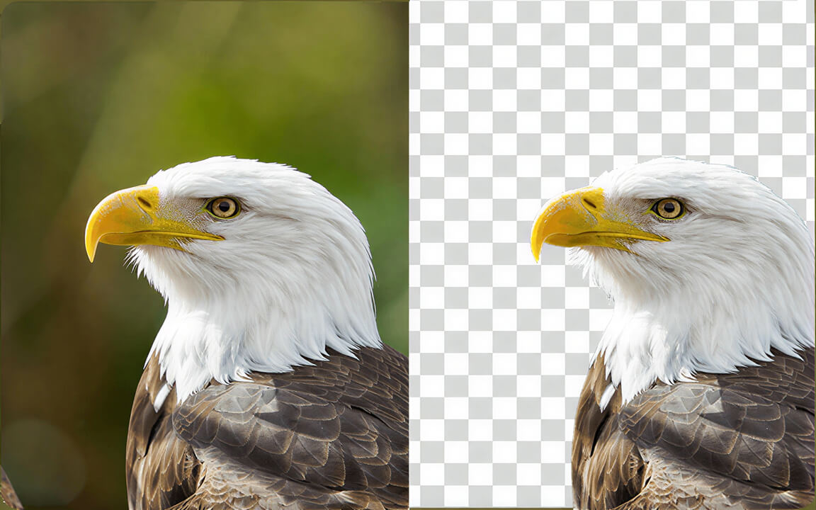 Background removal - subject isolated from image background using deep learning