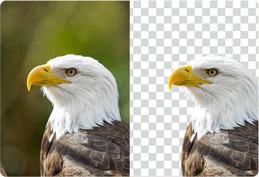 Background removal example demonstrating automatic subject isolation